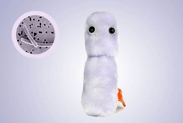 #NAME Giant Plush Microbes and Cells