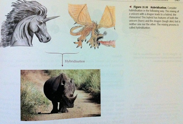 14095575996435 funny textbook fails 10 Hilarious!! 33 Images of Silly Mistakes in Textbooks!