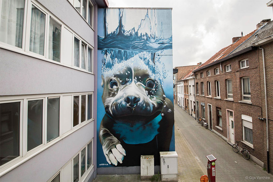 #NAME 4 Story Street Art Mural Of A Dog Diving Underwater Unveiled In Belgium