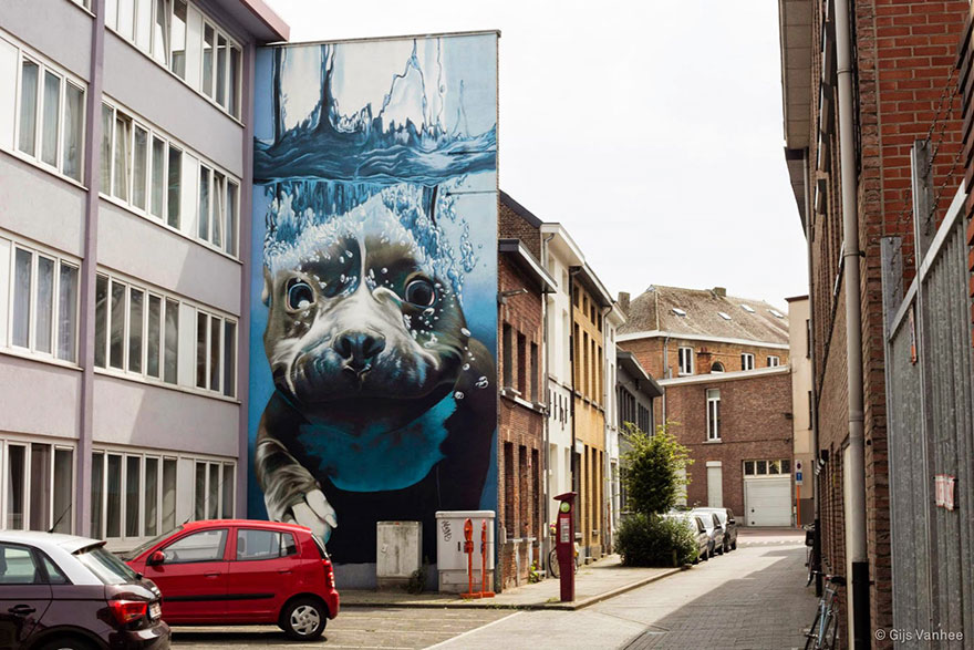 #NAME 4 Story Street Art Mural Of A Dog Diving Underwater Unveiled In Belgium