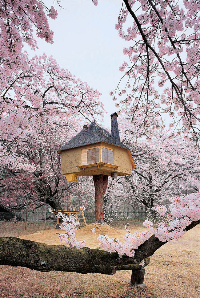 #NAME Theres A Treehouse In Japan Thats Straight Out Of A Fairy Tale. I Would Totally Live In This Thing.