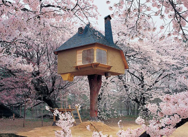 #NAME Theres A Treehouse In Japan Thats Straight Out Of A Fairy Tale. I Would Totally Live In This Thing.