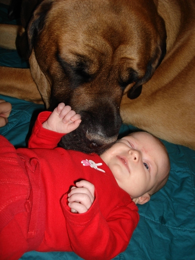 #NAME Here Are 15 Pictures That Prove Its The Simplest Moments That Mean The Most. Heart = Exploded.