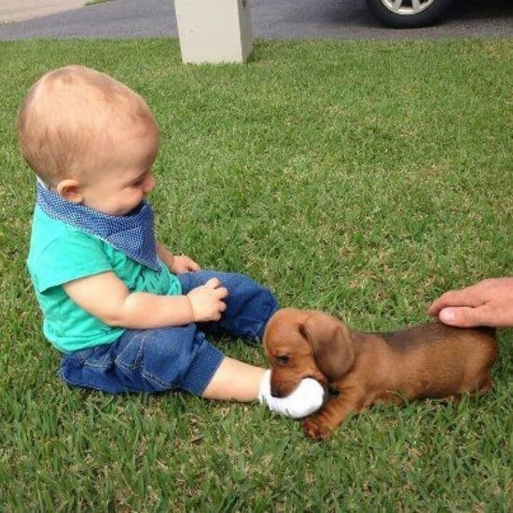 #NAME Here Are 15 Pictures That Prove Its The Simplest Moments That Mean The Most. Heart = Exploded.