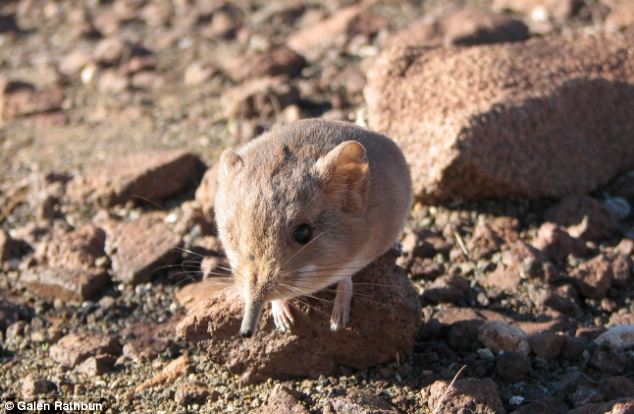 #NAME NEW Species Discovered and its Adorable!