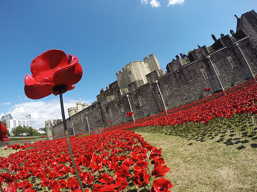 14095593246704 ceramic poppies first world war installation london tower 3 888,246 Poppies Pour Like Blood From The Tower Of London To Remember The Fallen Soldiers Of WWI