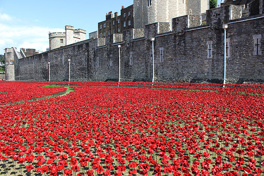 14095593248190 ceramic poppies first world war installation london tower 2 888,246 Poppies Pour Like Blood From The Tower Of London To Remember The Fallen Soldiers Of WWI