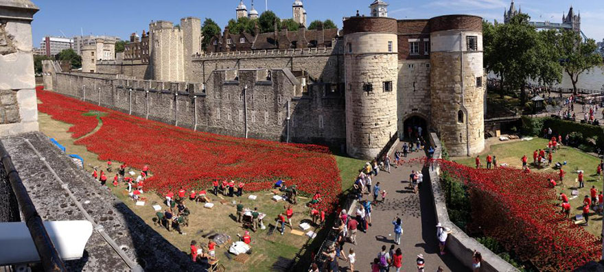 14095593281058 ceramic poppies first world war installation london tower 13 888,246 Poppies Pour Like Blood From The Tower Of London To Remember The Fallen Soldiers Of WWI