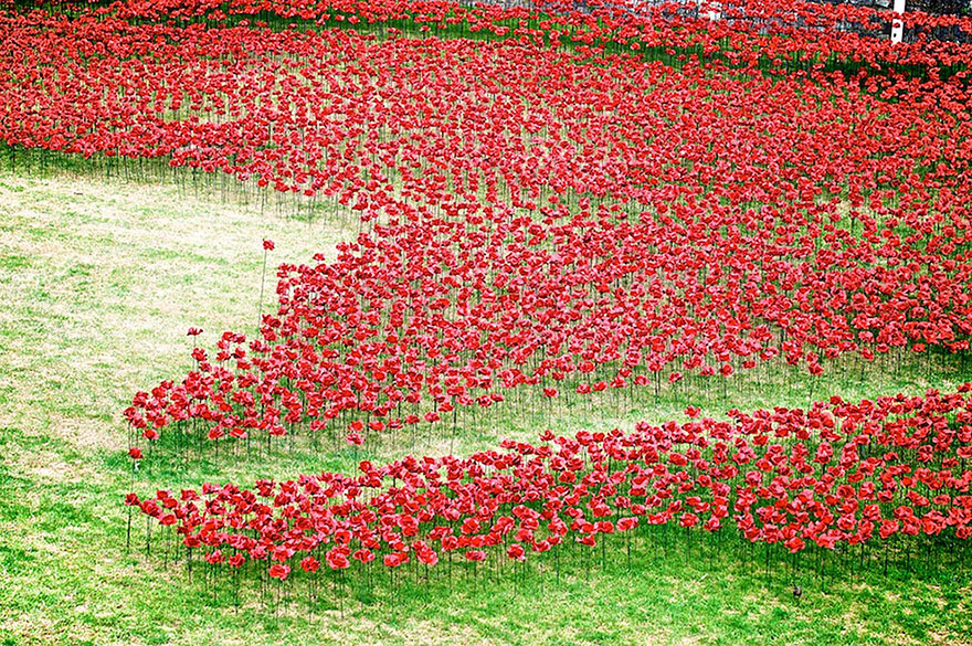 14095593313425 ceramic poppies first world war installation london tower 5 888,246 Poppies Pour Like Blood From The Tower Of London To Remember The Fallen Soldiers Of WWI