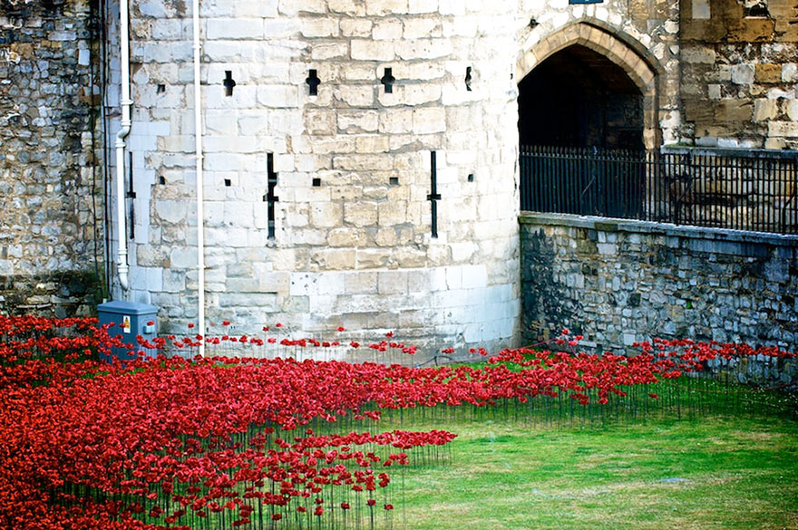 14095593314844 ceramic poppies first world war installation london tower 6 888,246 Poppies Pour Like Blood From The Tower Of London To Remember The Fallen Soldiers Of WWI