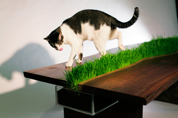 #NAME Fantastic Furniture Ideas For Pets and Pet Owners. #18 is Simply Superb!!