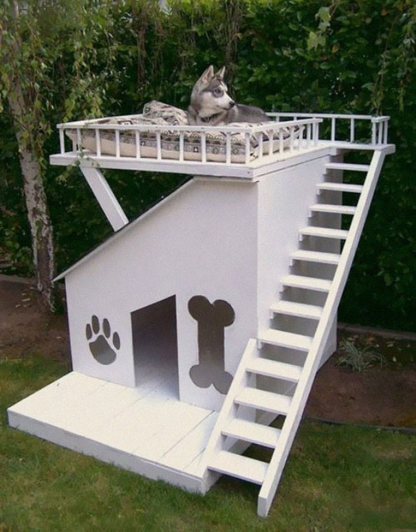 #NAME Fantastic Furniture Ideas For Pets and Pet Owners. #18 is Simply Superb!!