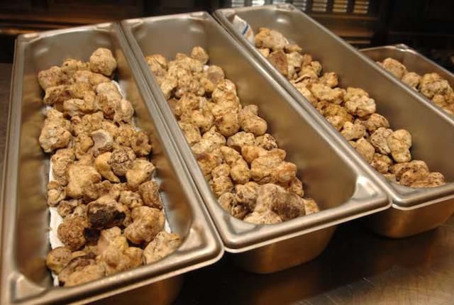 #NAME Whats So Special About Truffles?