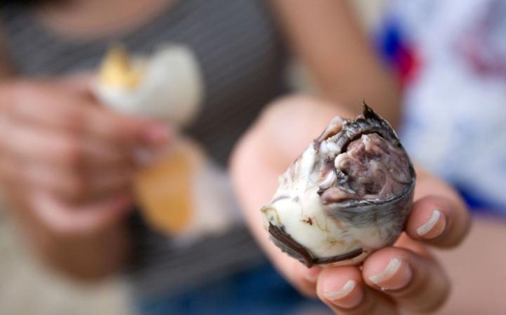 balut 2537790a large 20 Odd Foods from Around the World that you should Try