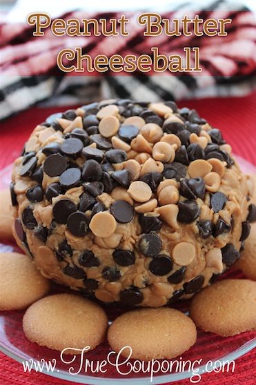 desktop 1441677330 20 Cheese Ball Recipes You Must Learn To Make